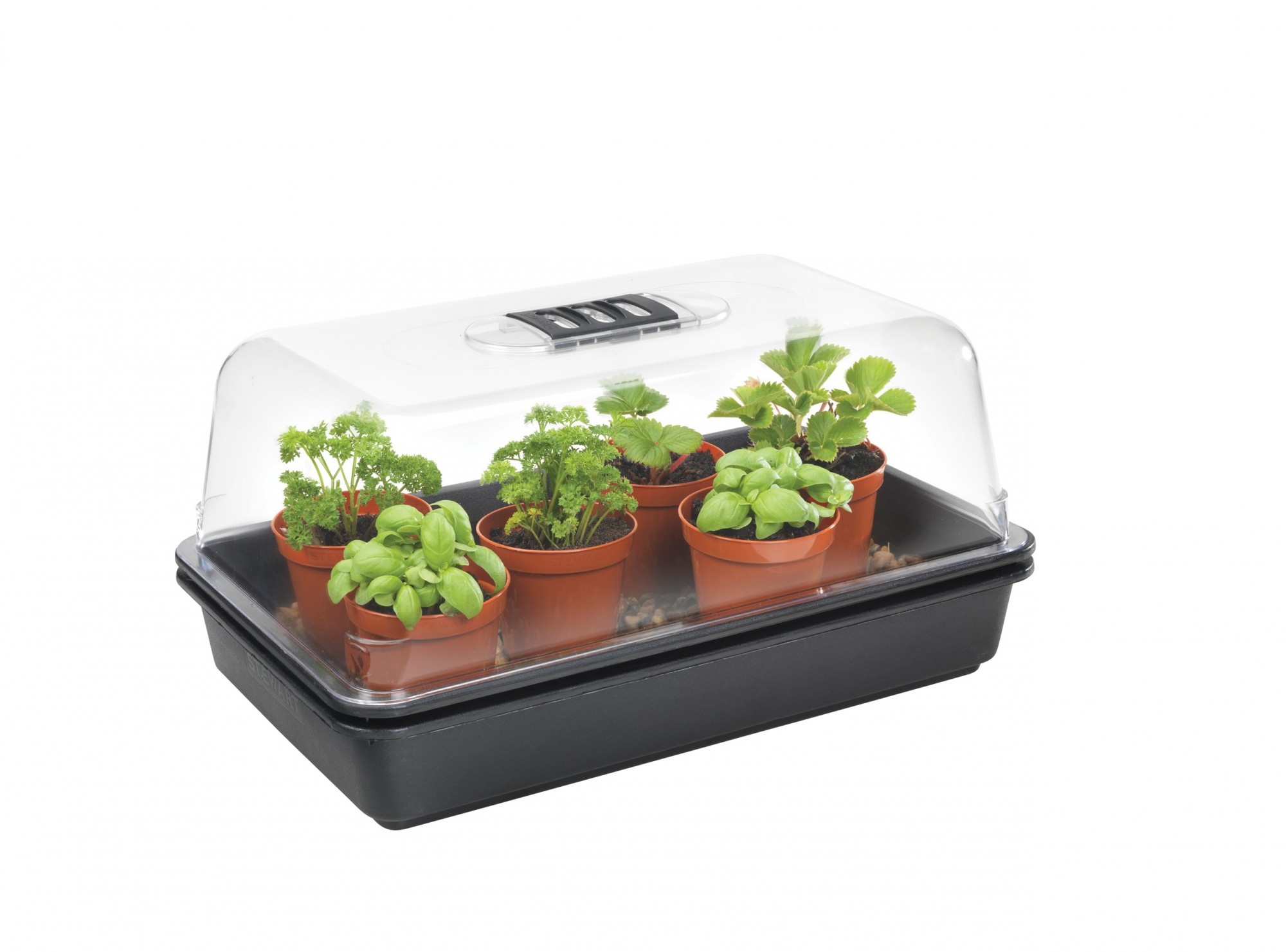 Skleník 38x24x18cm - tvrdý plast